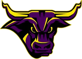 Minnesota State University