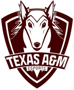 Texas A&M University Maroon 